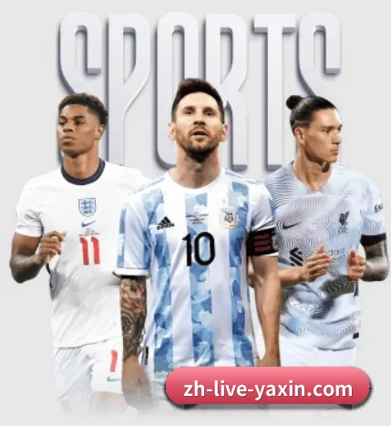 亚新体育 APP